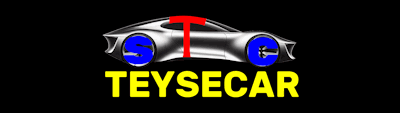 Visita Teysecar - Copia de centralitas de coche